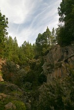 20100325173318_IMG_1154b