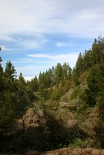 20100325173434_IMG_1156b