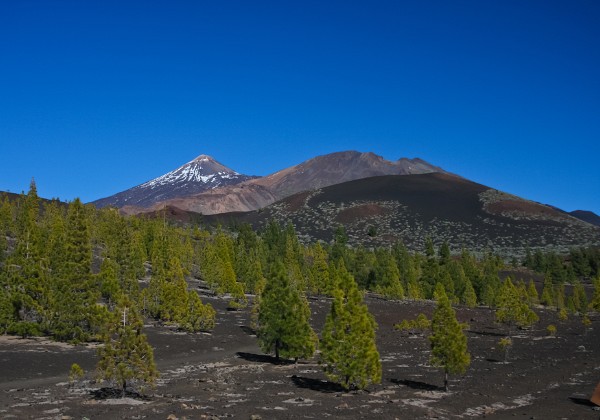 El Teide