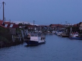 Bassin et Banc d'Arguin Arcachon