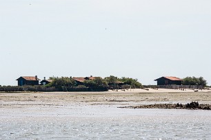 Bassin et Banc d'Arguin Arcachon