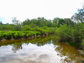 Le Teich Arcachon