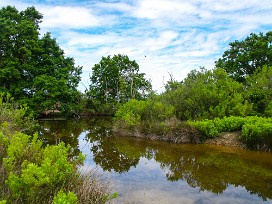 Le Teich Arcachon