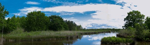 Le Teich Arcachon