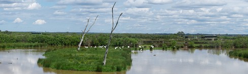 Le Teich Arcachon