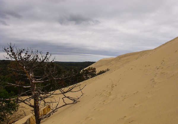 Dune du Pyla