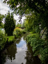 Le marais de Bourges