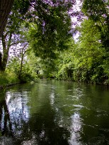 Le marais de Bourges