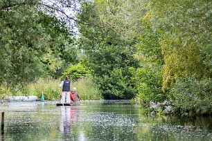 Le marais de Bourges