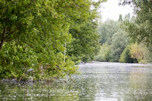 Le marais de Bourges