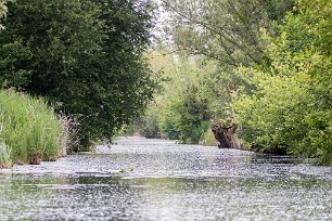 Le marais de Bourges