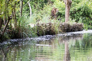 Le marais de Bourges