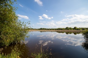 Par étangs et marais