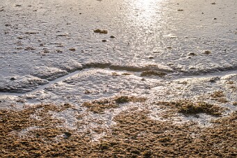 Entre Morbihan et Finistère null