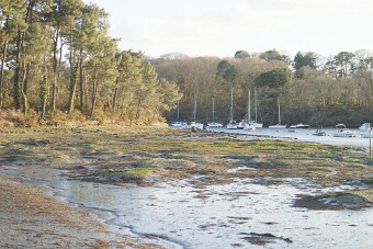 Entre Morbihan et Finistère null