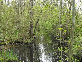 DSCF0354 Charentes