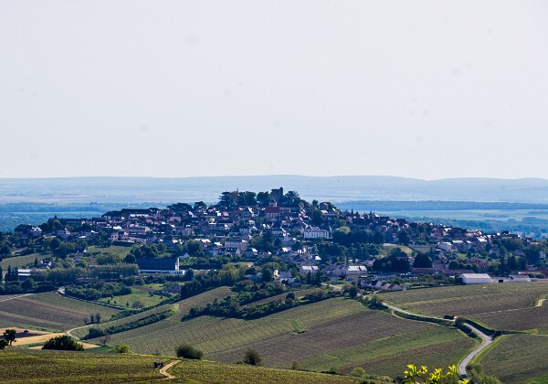 Sancerre