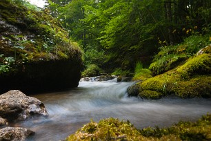 Le Couzon Isère