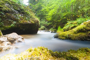 Le Couzon Isère