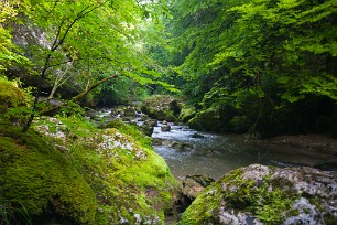 Le Couzon Isère