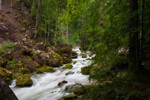 Le Couzon Isère