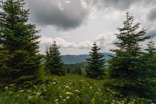 Cret de Chalam Jura