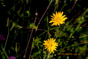 CRW_4574 Jura