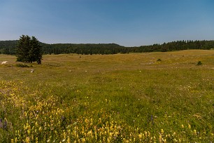 Plateau de Retord Jura