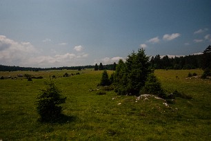 Prairie d'Echalon Jura