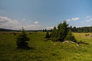 Prairie d'Echalon Jura