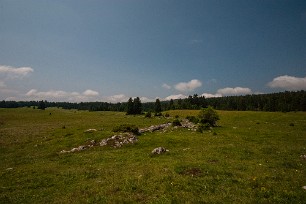 Prairie d'Echalon Jura