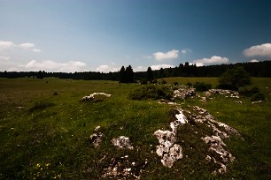 Prairie d'Echalon Jura