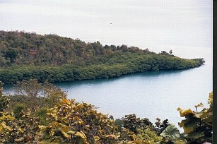 martinique20000020