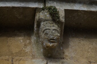 Périgord_20260206_081754182458484 null