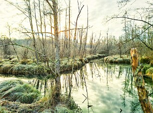 Périgord_20260107_102005 null