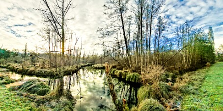 Périgord_20260107_102031 null