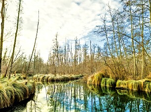 Périgord_20260107_102115 null