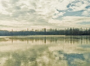 Périgord_20260107_103259 null
