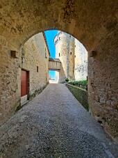 Château de Fénelon null