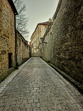 Périgord_20260104_161735 null
