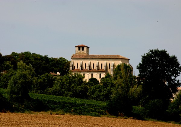 Collégiale saint martin