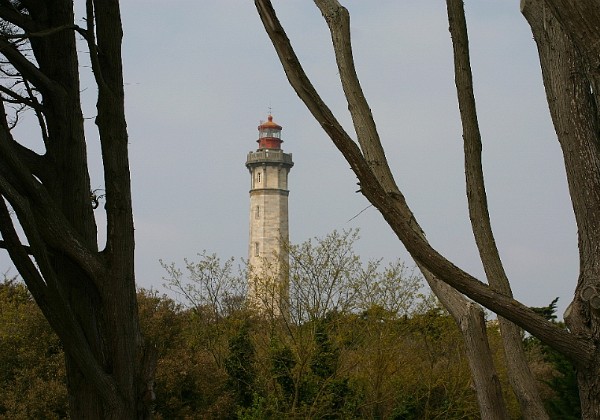 Le Phare des Baleines