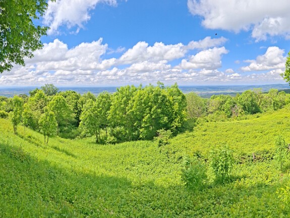 Chateau des Allymes