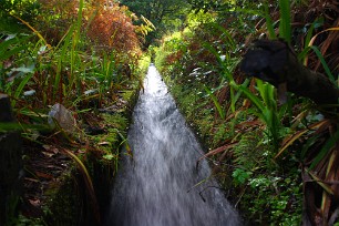 Levada, Chao de Ribeira Madère