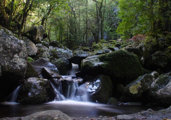 Levada